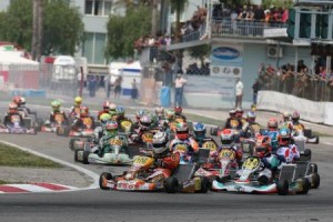 kz2_sarno2012_2703